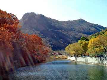 天天彩好彩天天免费，红河物流